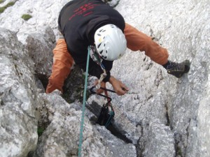 Kubeln bis die Schuppe kracht
