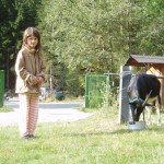Carbi die freche Ziege