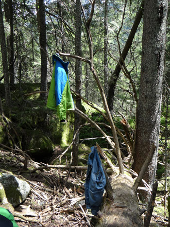 Ein Männlein steht im Walde - meistens mußte die warme DIRECTALPINE- Jacke doch an den Haken; Foto: Jojo Melle