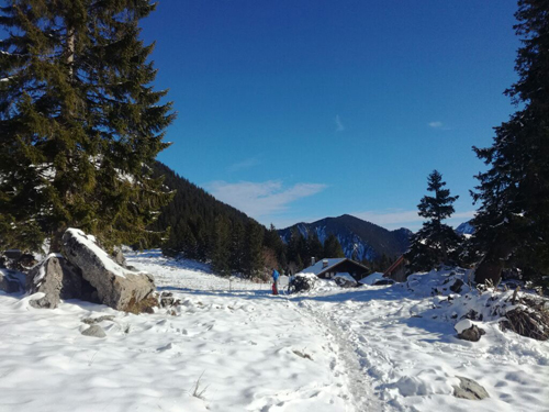 Blick von der oberen Firstalm hinüber zum Jägerkamp